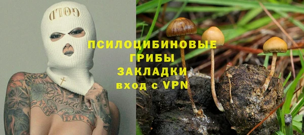СК Козловка