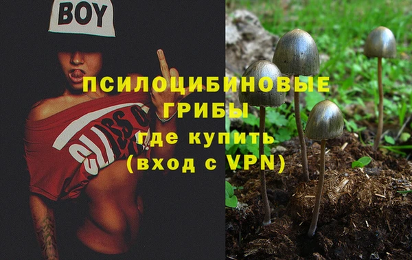 СК Козловка