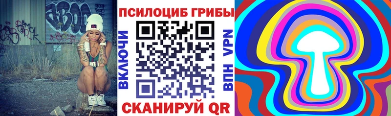 Псилоцибиновые грибы ЛСД  магазин  наркотиков  Томск 