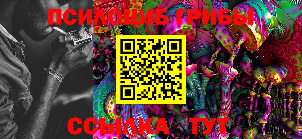 где продают наркотики  Томск  Галлюциногенные грибы Magic Shrooms 