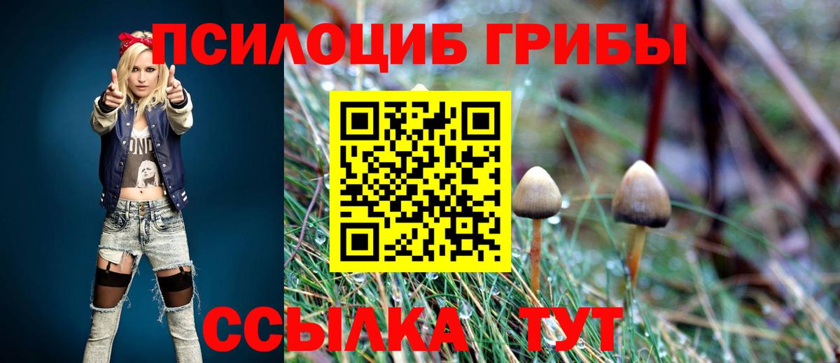 Томск  Псилоцибиновые грибы GOLDEN TEACHER  купить наркотик  Вход с VPN 